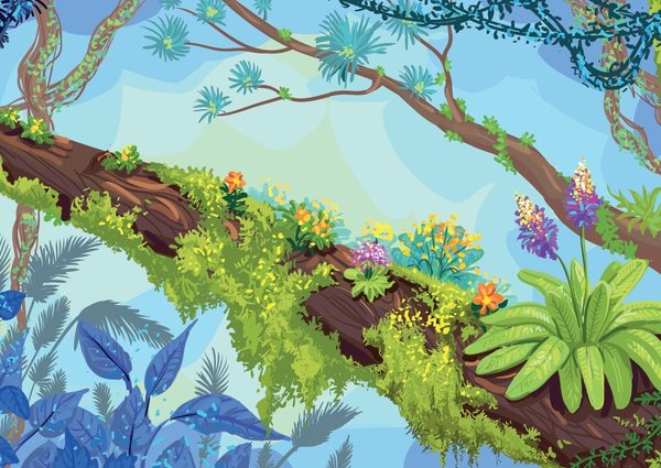 Malbuch "Meine große Tierwelt Dschungel" - Malen, Quizfragen, Sticker