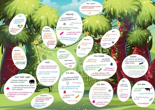 Malbuch "Meine große Tierwelt Dschungel" - Malen, Quizfragen, Sticker