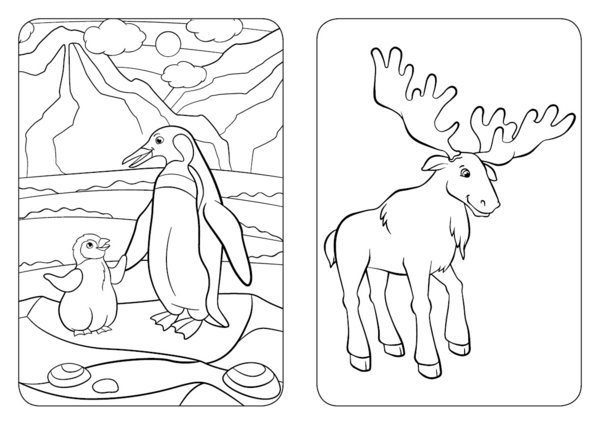 Malbuch "Meine große Tierwelt Arktis" - Malen, Quizfragen, Sticker