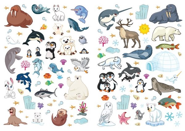 Malbuch "Meine große Tierwelt Arktis" - Malen, Quizfragen, Sticker